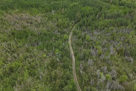 E Woods Road