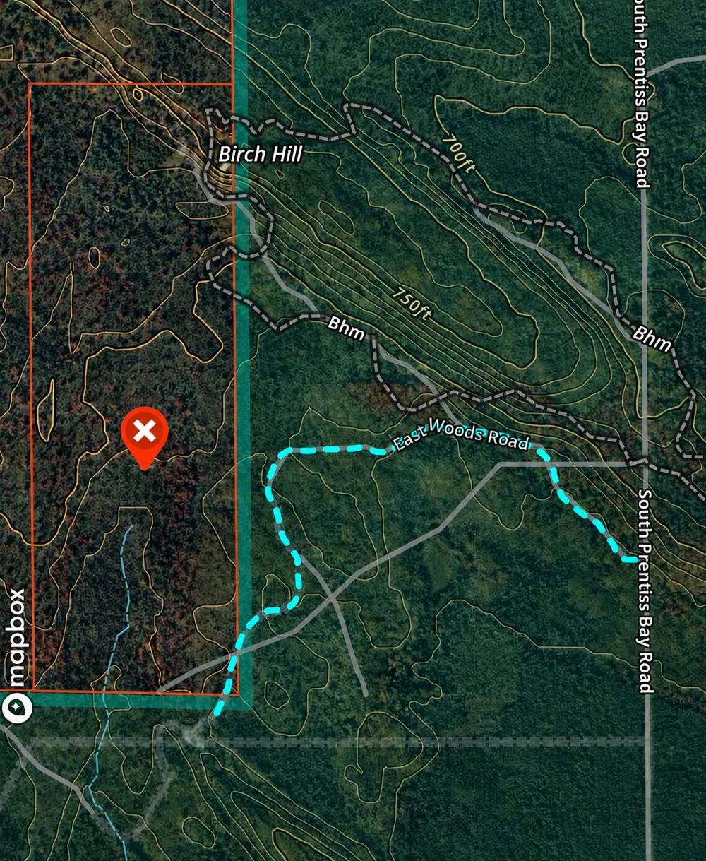 E Woods Road Goetzville, MI 49736