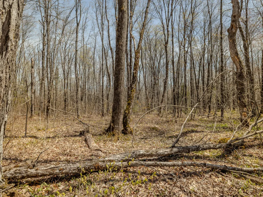 2 E Shore Road Bergland, MI 49910