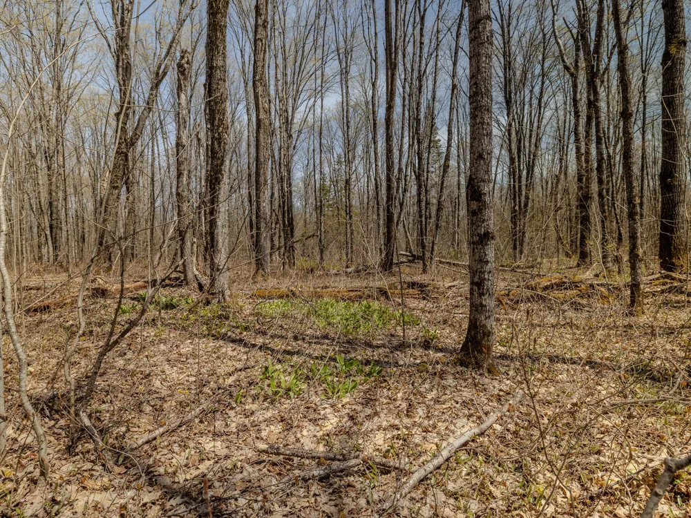 2 E Shore Road Bergland, MI 49910