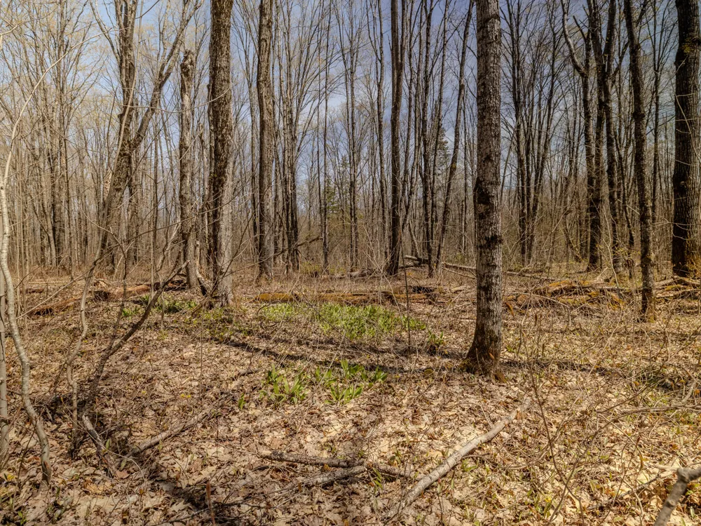 2 E Shore Road Bergland, MI 49910