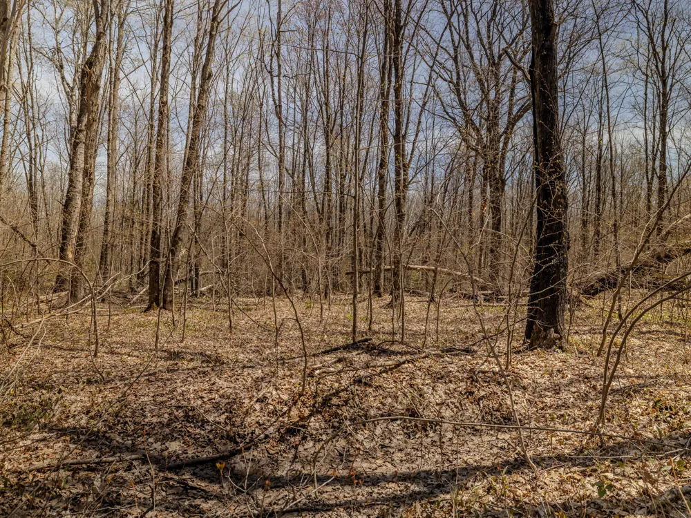 2 E Shore Road Bergland, MI 49910