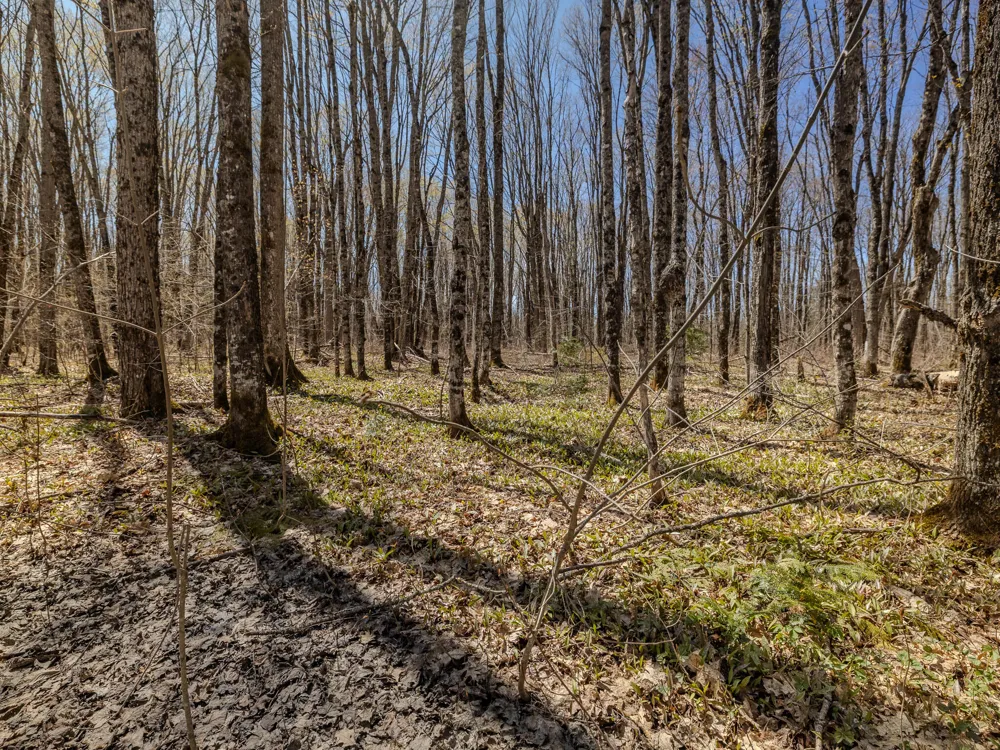 2 E Shore Road Bergland, MI 49910