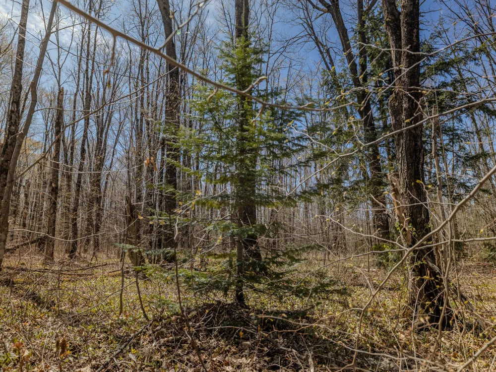 2 E Shore Road Bergland, MI 49910