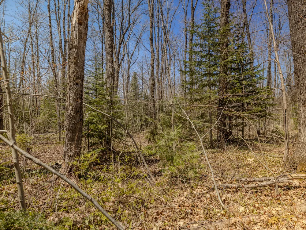 2 E Shore Road Bergland, MI 49910