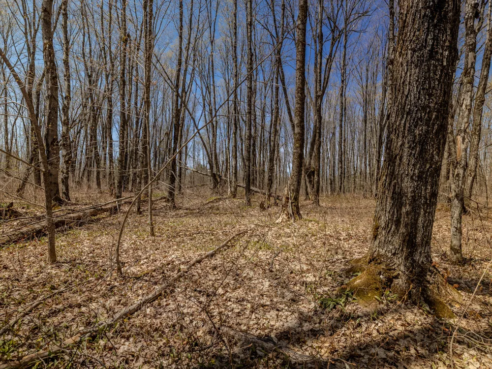4 E Shore Road Bergland, MI 49910