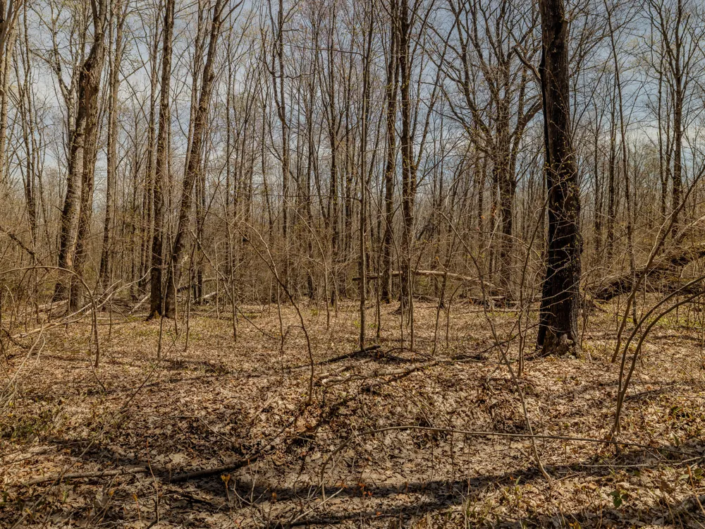 4 E Shore Road Bergland, MI 49910