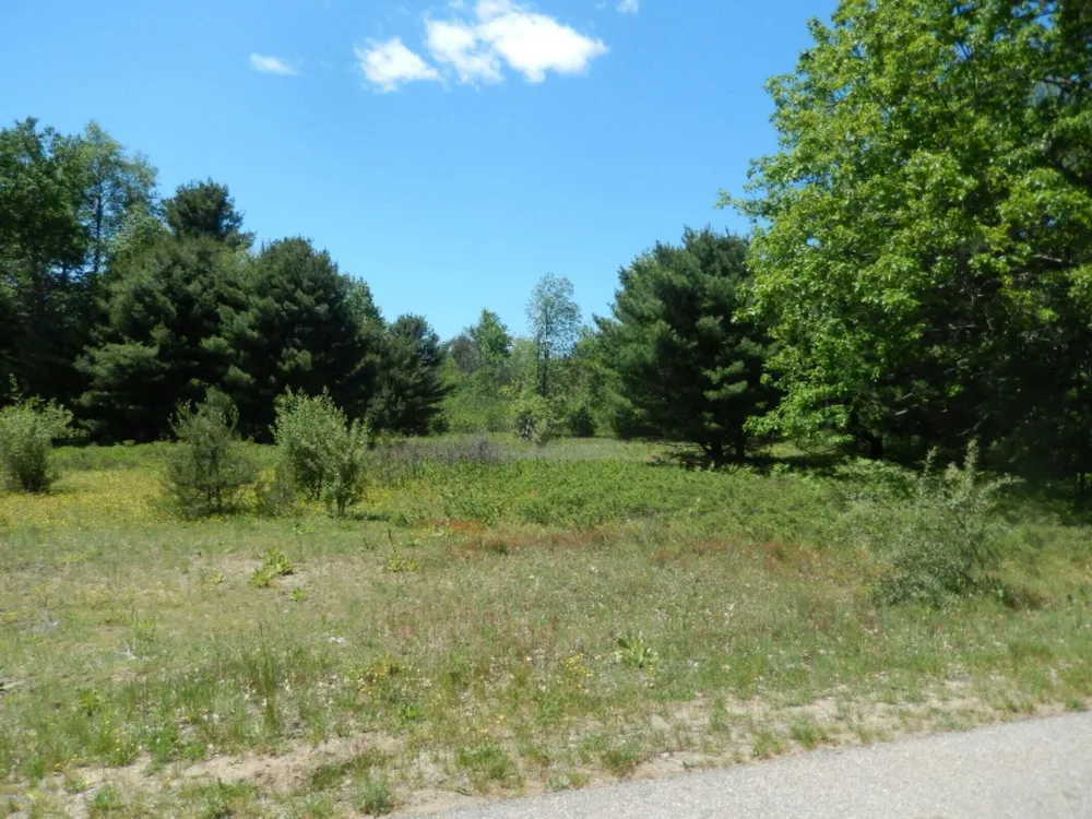 6265 Kilkenny Drive Canadian Lakes, MI 49346