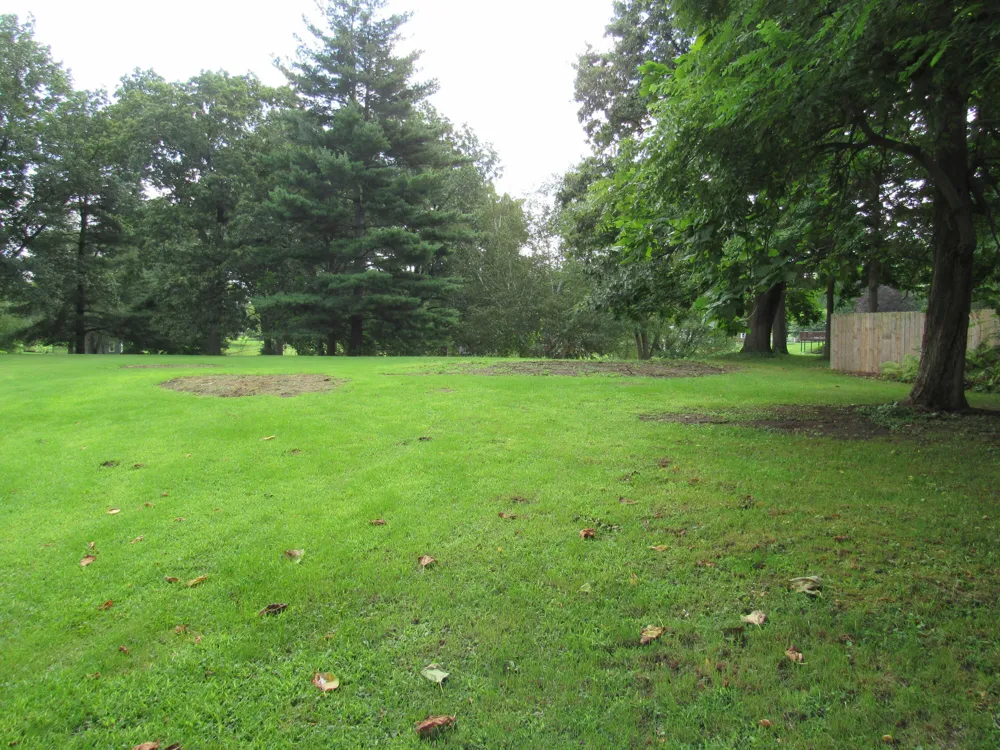 161 Palmer Avenue Colon, MI 49040