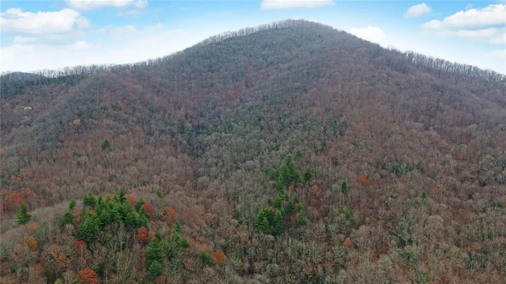 Address Not Shown Rabun Gap, GA 30568