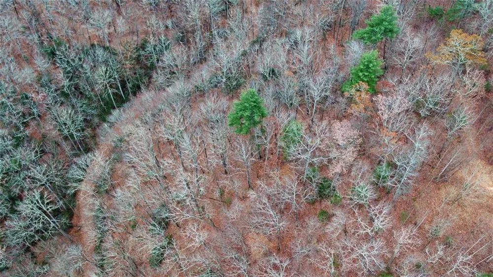 Address Not Shown Rabun Gap, GA 30568