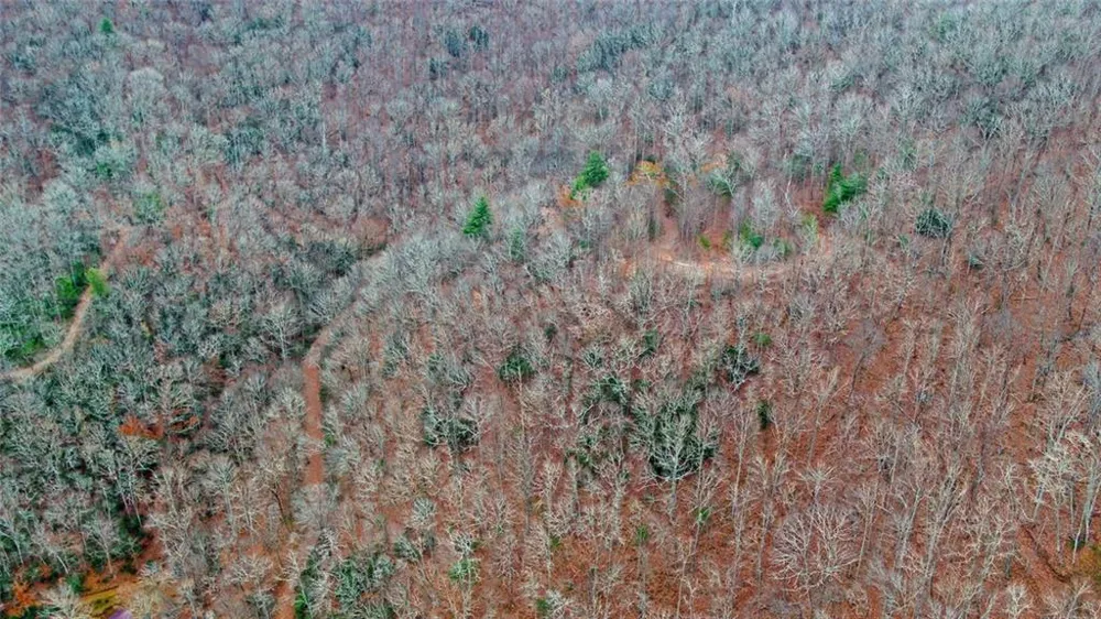 Address Not Shown Rabun Gap, GA 30568