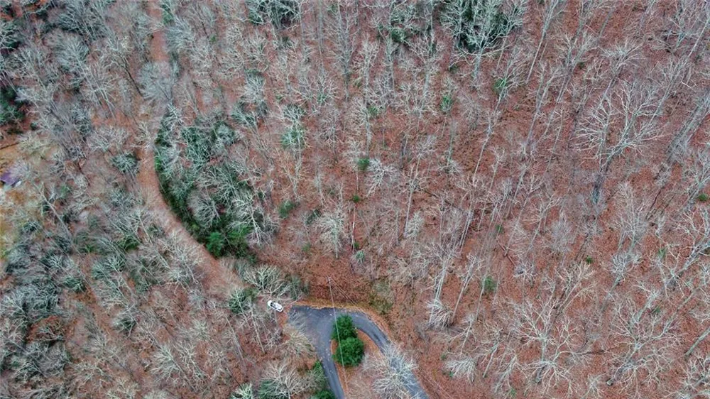 Address Not Shown Rabun Gap, GA 30568
