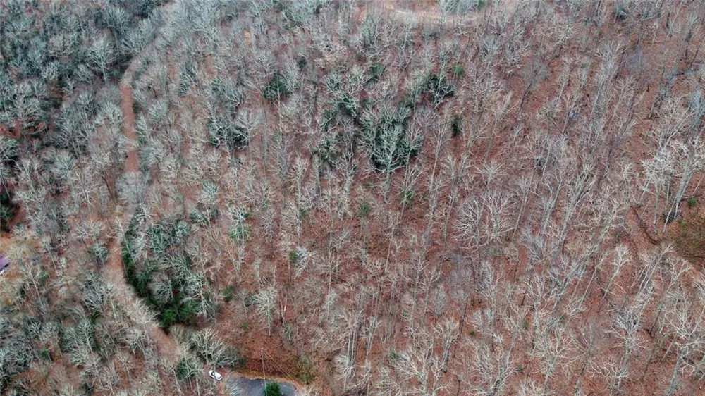 Address Not Shown Rabun Gap, GA 30568