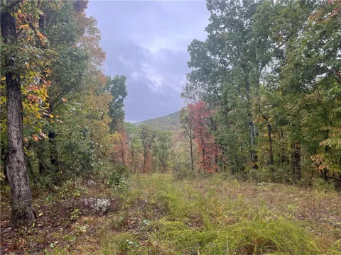 Pierson Road