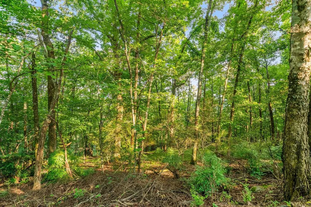 0 Mount Alto Road SW Rome, GA 30165
