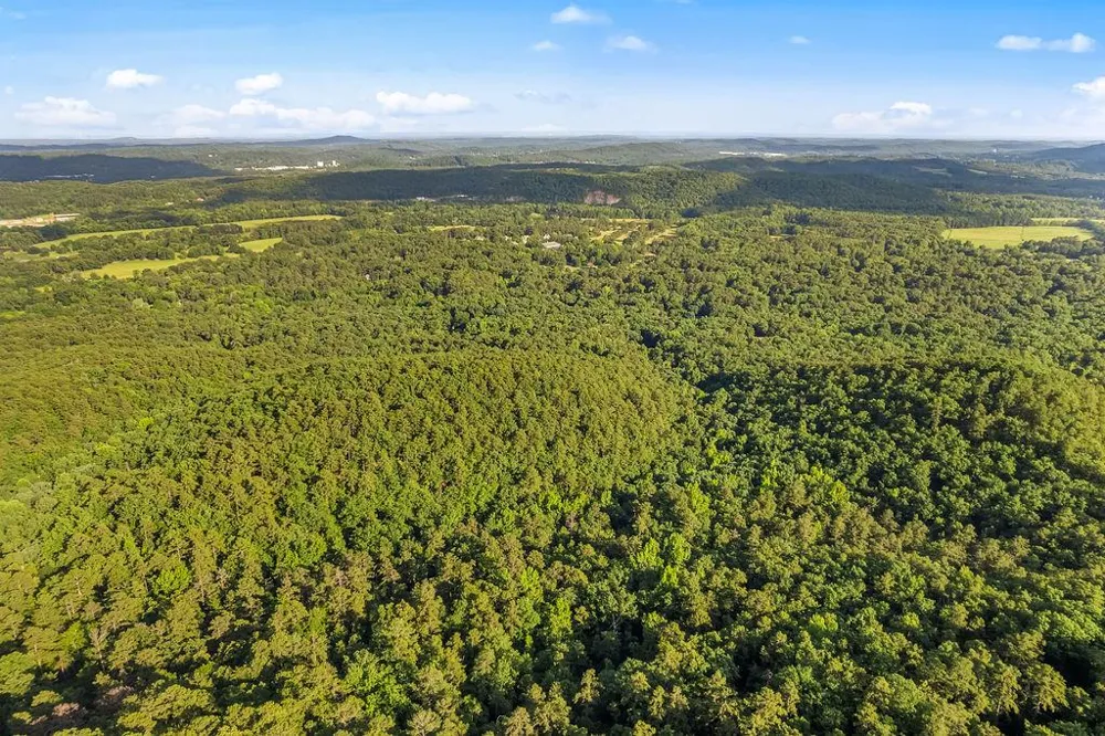 0 Mount Alto Road SW Rome, GA 30165