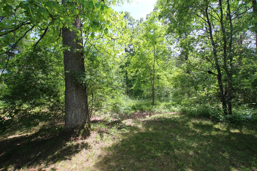 2259 E 40th Street Idlewild, MI 49642