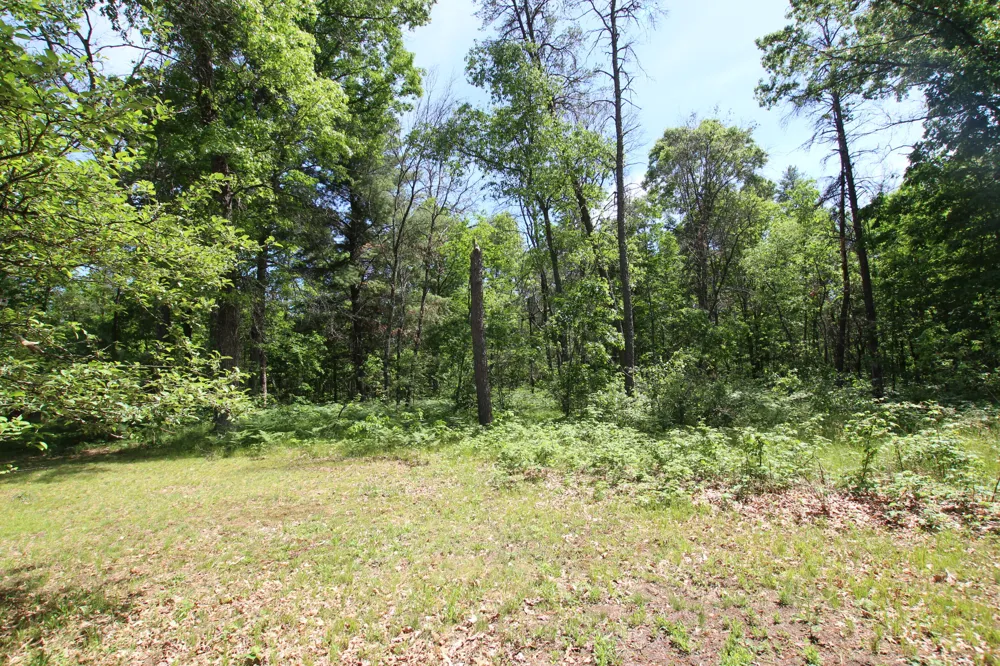 2259 E 40th Street Idlewild, MI 49642