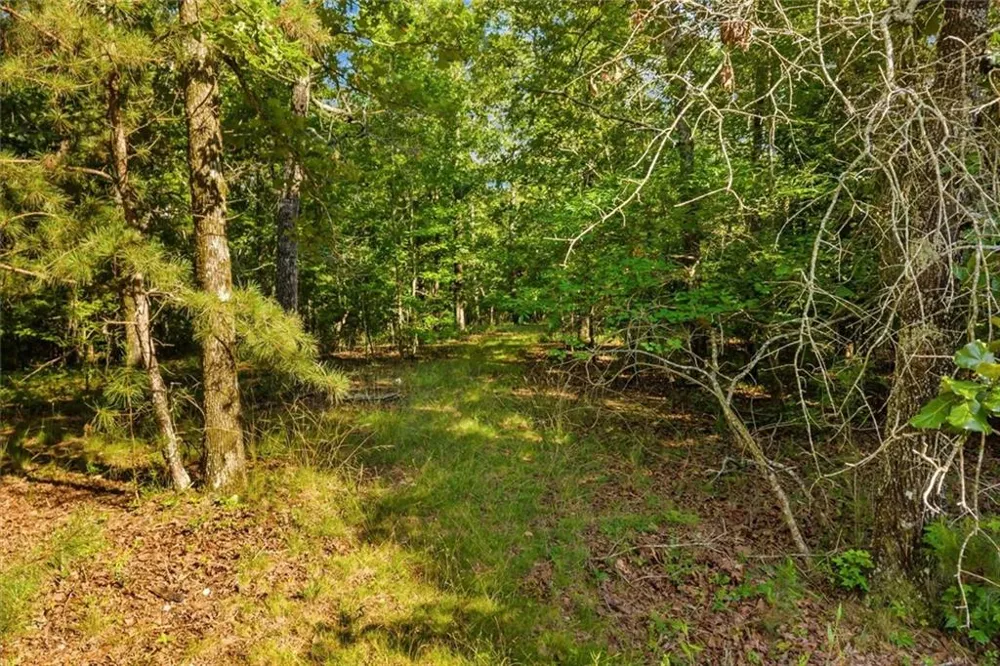0 Blacks Bluff Rd SW Cave Spring, GA 30124