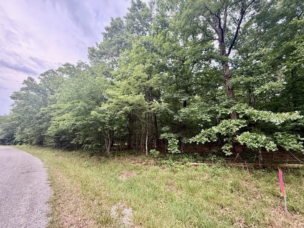 0 Deep Woods Road Sewanee, TN 37375