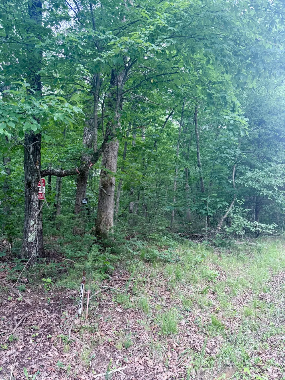 0 Deep Woods Road Sewanee, TN 37375