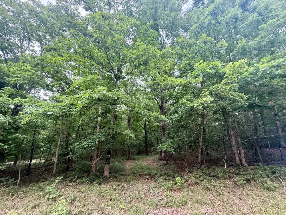 0 Deep Woods Road Sewanee, TN 37375