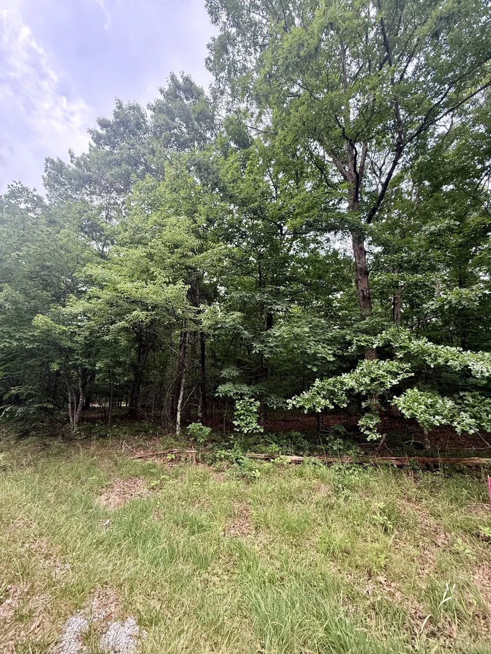 0 Deep Woods Road Sewanee, TN 37375
