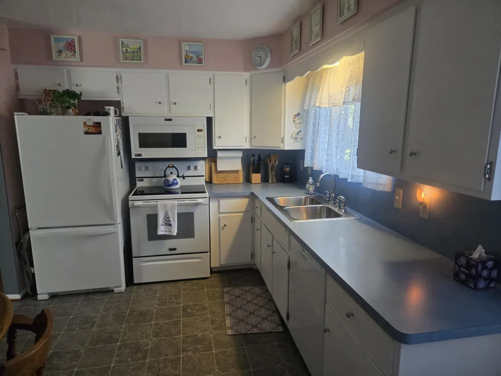 120 E Houstonia Avenue Royal Oak, MI 48073
