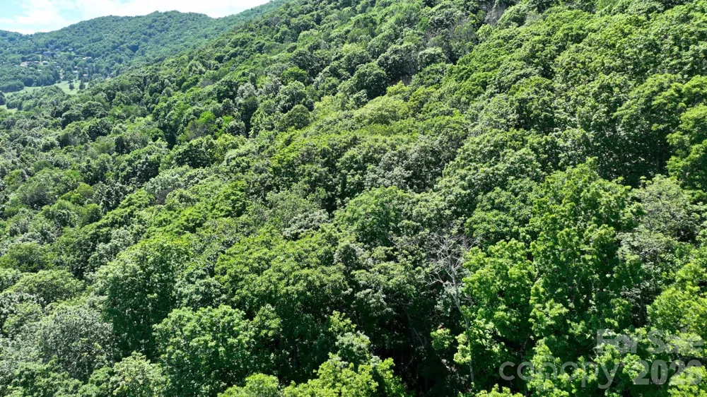 TBD Greencove Drive Seven Devils, NC 28604