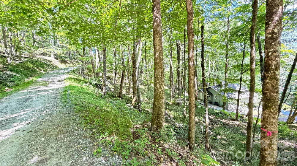 TBD Greencove Drive Seven Devils, NC 28604