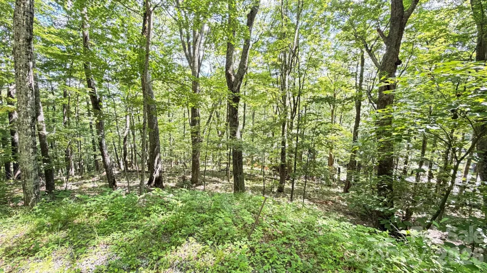 TBD Greencove Drive Seven Devils, NC 28604