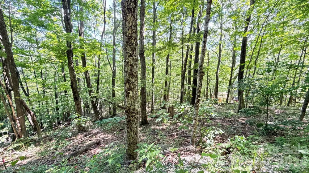 TBD Greencove Drive Seven Devils, NC 28604