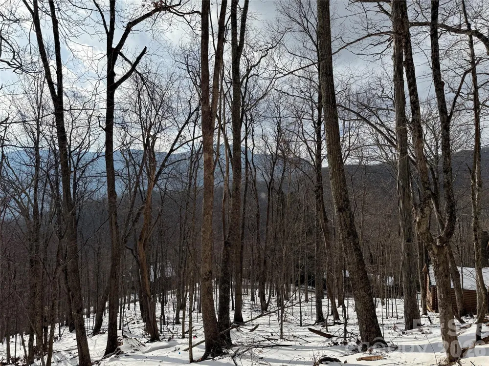 TBD Greencove Drive Seven Devils, NC 28604