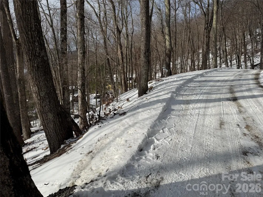 TBD Greencove Drive Seven Devils, NC 28604