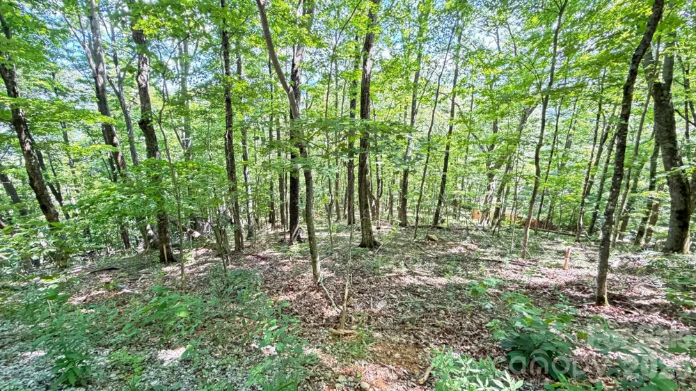 TBD Greencove Drive Seven Devils, NC 28604
