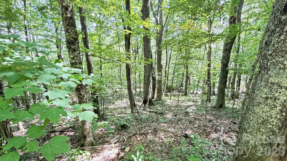 TBD Greencove Drive Seven Devils, NC 28604