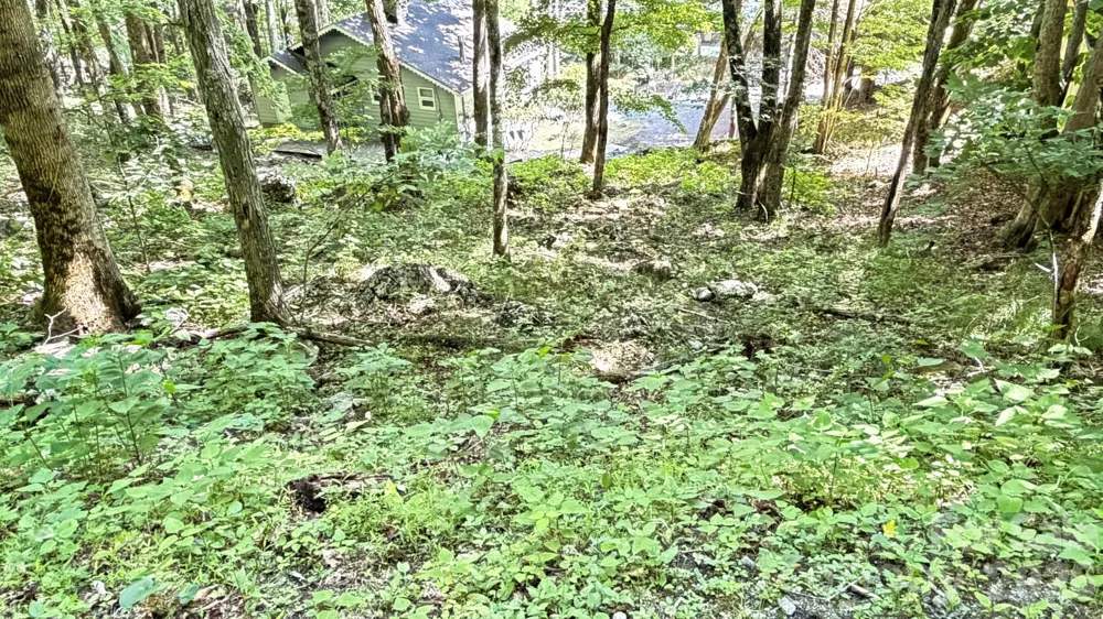TBD Greencove Drive Seven Devils, NC 28604