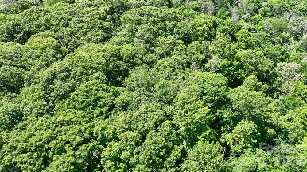 TBD Greencove Drive Seven Devils, NC 28604