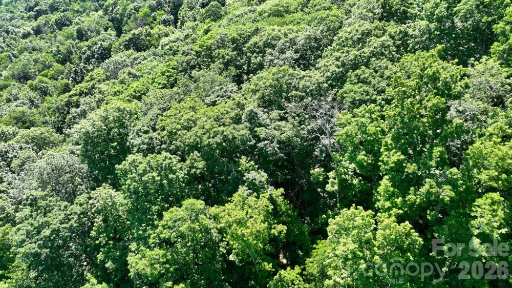 TBD Greencove Drive Seven Devils, NC 28604
