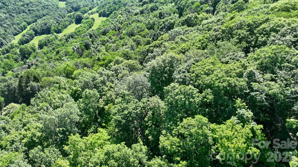 TBD Greencove Drive Seven Devils, NC 28604