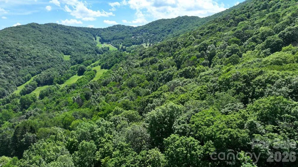 TBD Greencove Drive Seven Devils, NC 28604