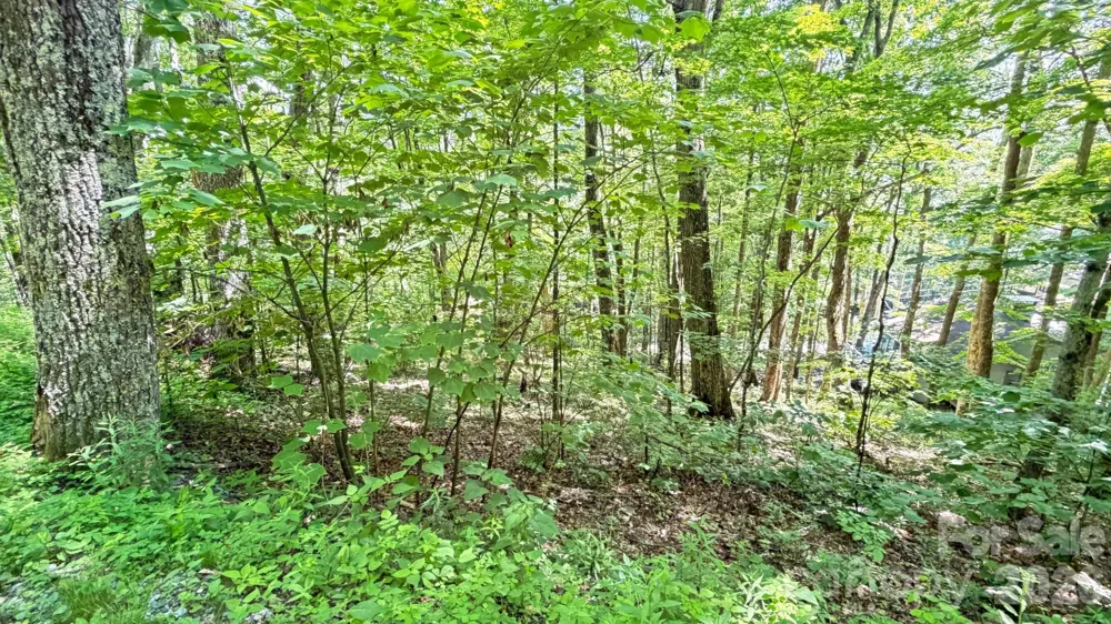 TBD Greencove Drive Seven Devils, NC 28604