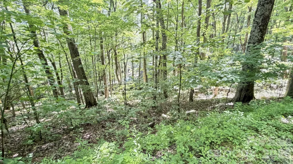 TBD Greencove Drive Seven Devils, NC 28604