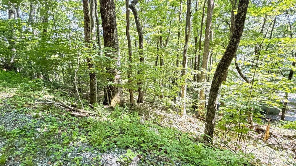 TBD Greencove Drive Seven Devils, NC 28604