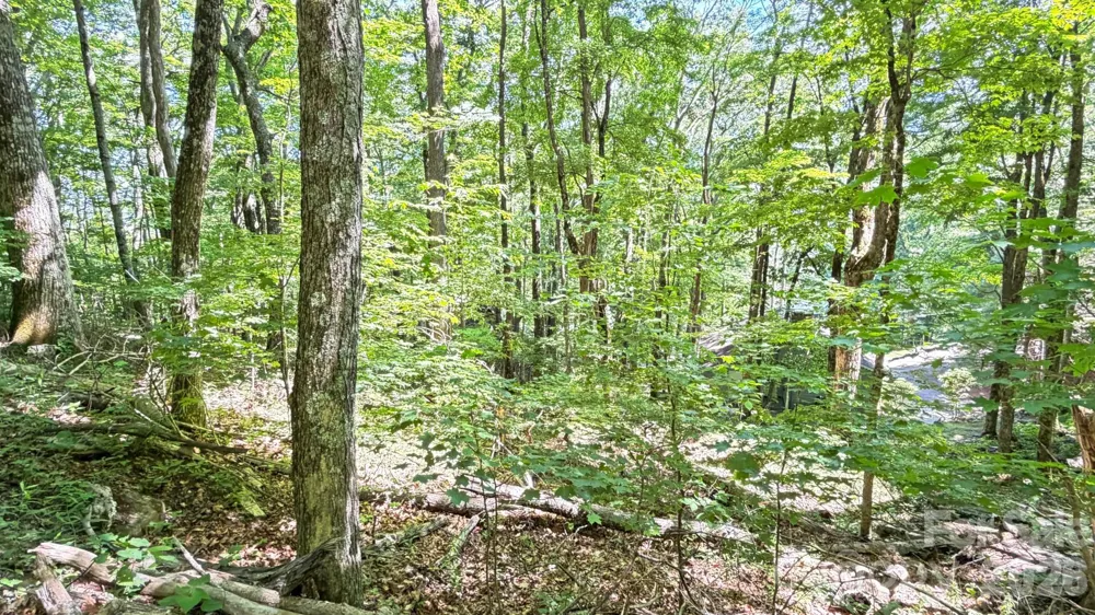 TBD Greencove Drive Seven Devils, NC 28604
