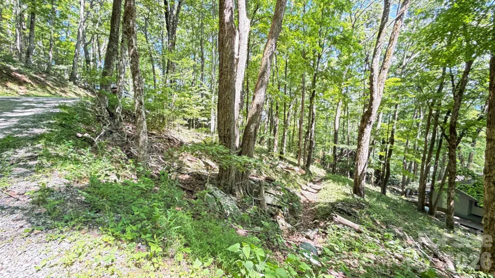 TBD Greencove Drive Seven Devils, NC 28604