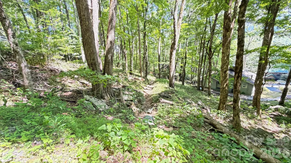 TBD Greencove Drive Seven Devils, NC 28604