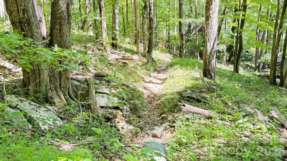 TBD Greencove Drive Seven Devils, NC 28604