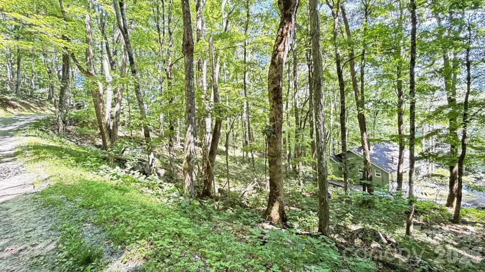 TBD Greencove Drive Seven Devils, NC 28604